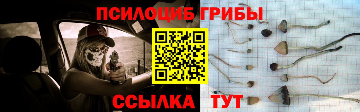 купить наркотик  Галлюциногенные грибы ЛСД  Вход с VPN  Серпухов 